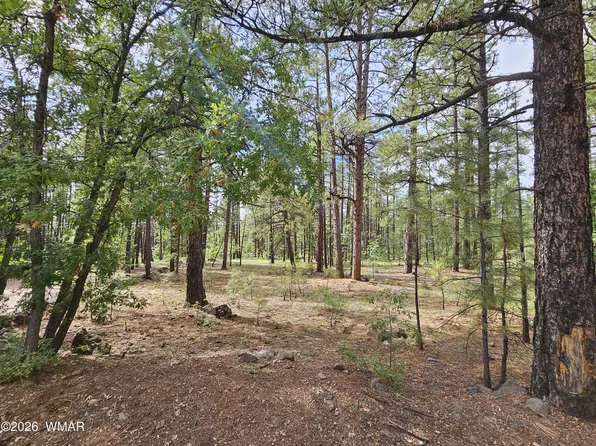 6311 Appaloosa Cir, Pinetop, AZ 85935