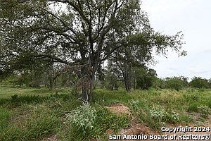 5th image of 470 Postert Ln
