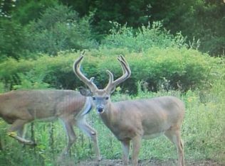 0 Bennett Hill Rd, Groveland, NY 14462