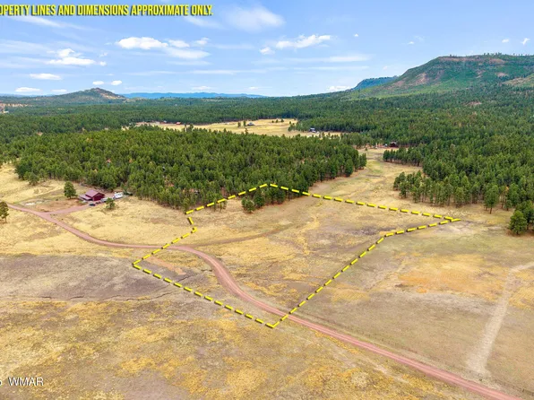 3 County Road N2157, Alpine, AZ 85920