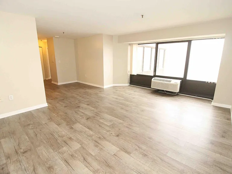 1001 W Jefferson Ave #300/29D — Photo 10