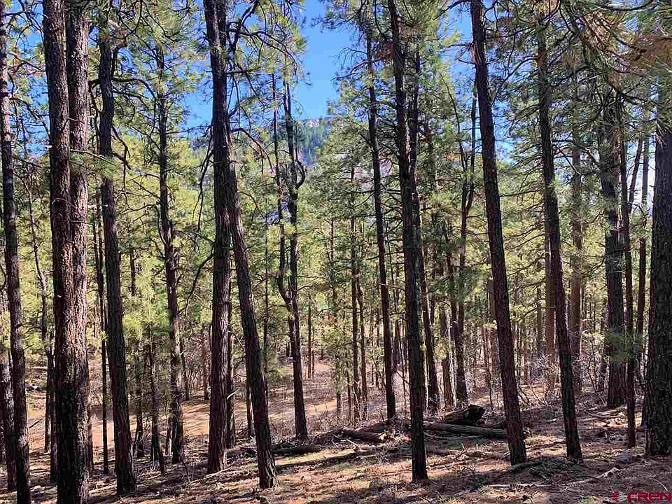 1st image of 437 E Forest Lakes Dr