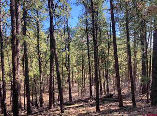 437 E Forest Lakes Dr, Bayfield, CO 81122