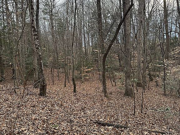 4th image of Edd Stephens Rd