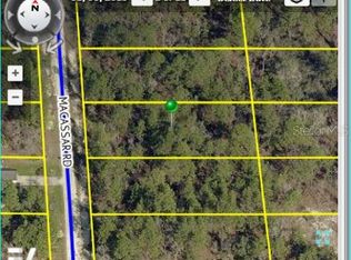 Macassar Rd, Weeki wachee, FL 34614