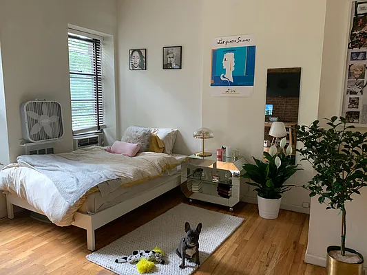 Rented by Oxford Property Group | media 60