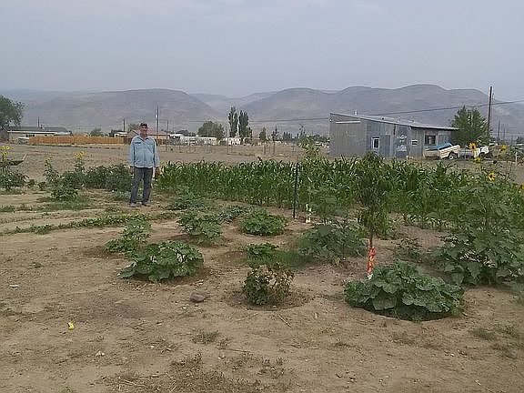 Garden