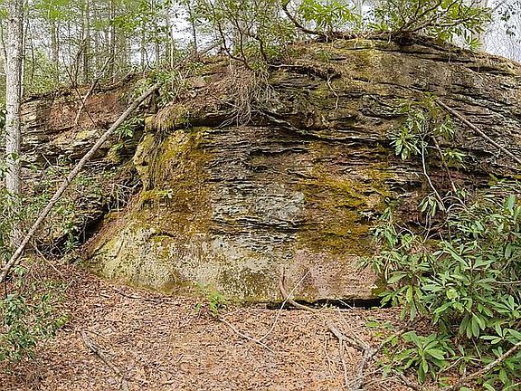 4th image of Laurel Branch Private Dr