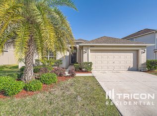 11602 Mansfield Point Dr, Riverview, FL 33569