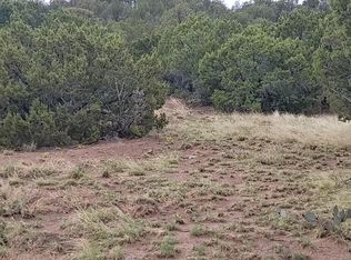 60 High Vista Ct, Moriarty, NM 87035