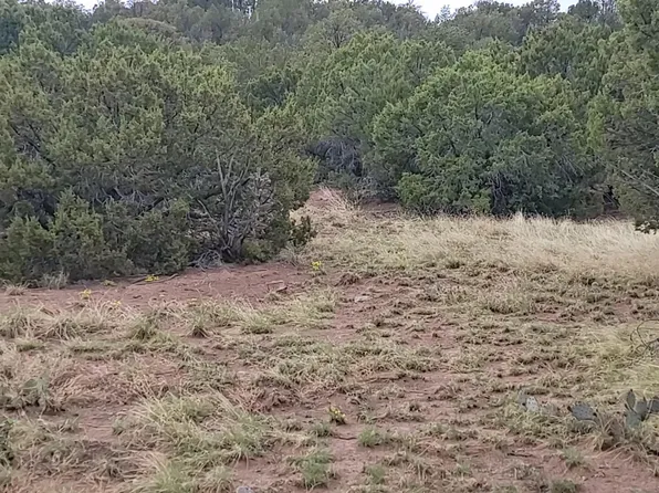 60 High Vista Ct, Moriarty, NM 87035