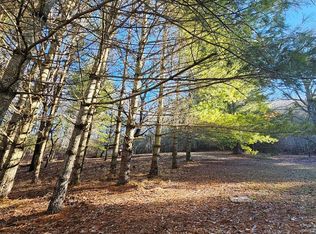 1101 Wood Crest Rd, Mouth Of Wilson, VA 24363