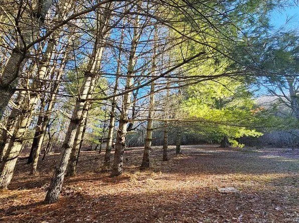1101 Wood Crest Rd, Mouth Of Wilson, VA 24363
