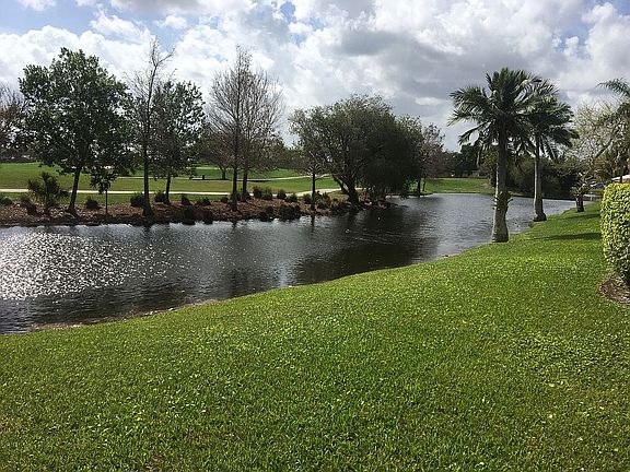 Backyard View