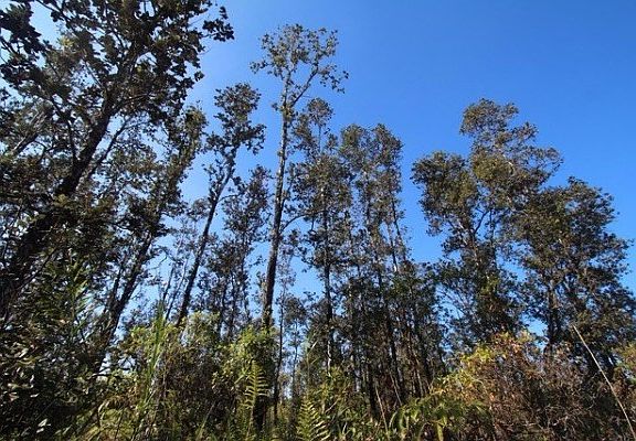 4th image of Road 8 Moho Lot 4986