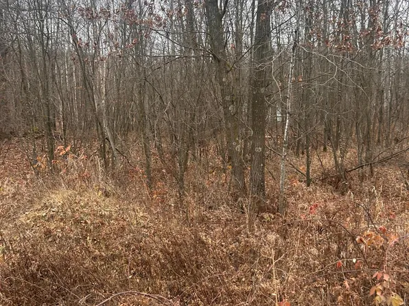 Tbdx Lake Camile, Randall, MN 56475