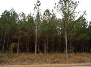 2748 Ed Tolar Rd, Pansey, AL 36370