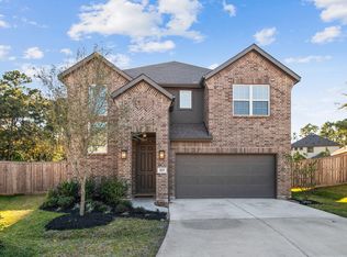 107 Violet Carson Ct, Willis, TX 77318