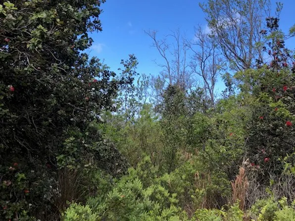 Bamboo Ln Lot 26, Ocean View, HI 96737