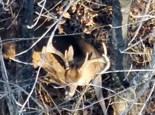 Linsey Rd, Anguilla, MS 38721