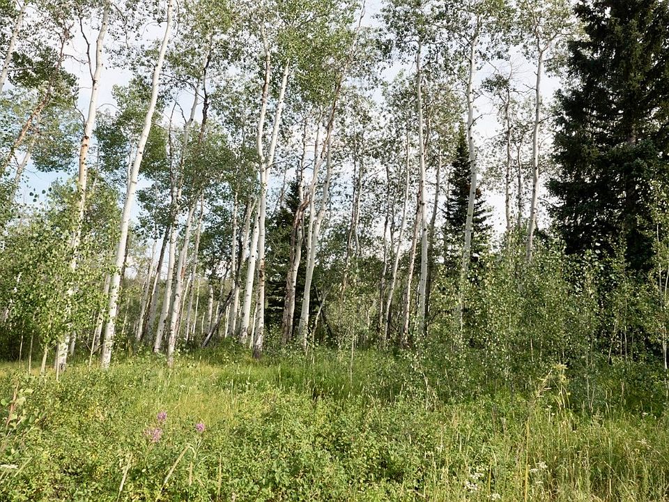1st image of TBD Wagon Wheel Trail