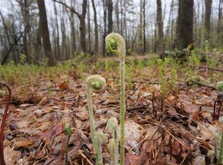 Tbd Litchfield Rd, Bowdoin, ME 04287