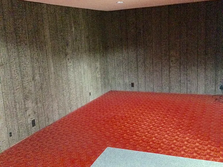 Basement Bonus room