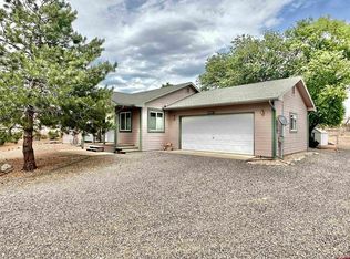 20689 Del Ray Dr, Eckert, CO 81418