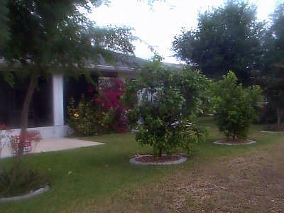 Back yard
