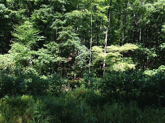 3rd image of Tract 1 Reynolds Road
