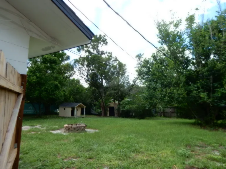 back yard
