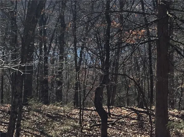 Lots 85 And 86 Oak Leaf Dr #85, Garfield, AR 72732