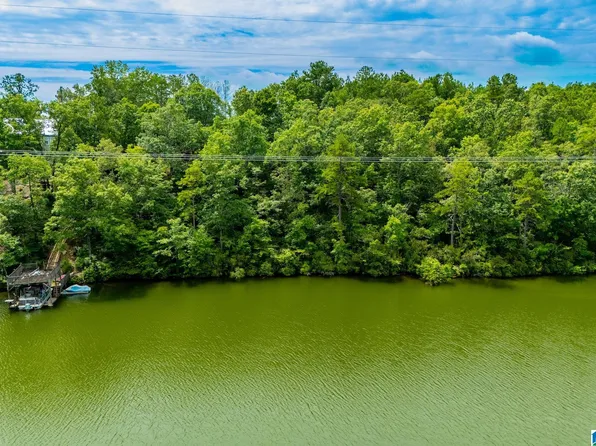 County Road 2564 #0, Wedowee, AL 36278