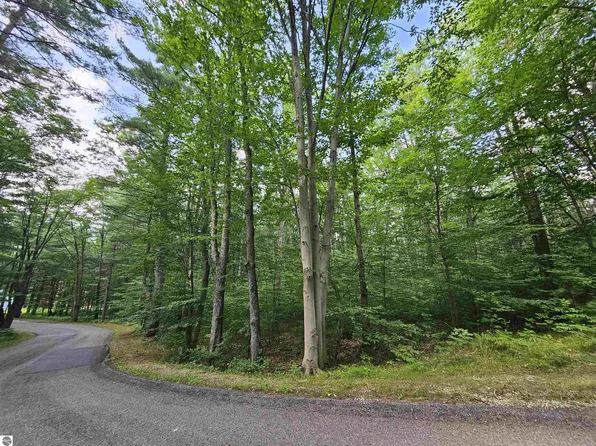 LOT 45 Woodwind Dr, Cadillac, MI 49601
