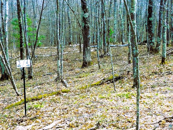 3rd image of XXXX Polkoski Way Lot 3 (9.43 acres) CSM 2307