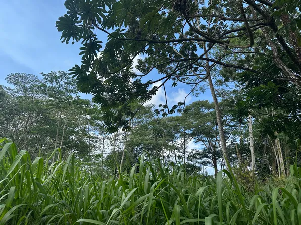 Tiki Rd Lot 5, Keaau, HI 96749