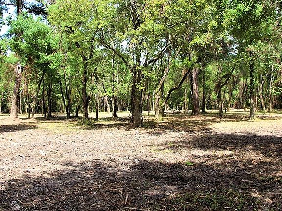 2nd image of Dogwood Ln
