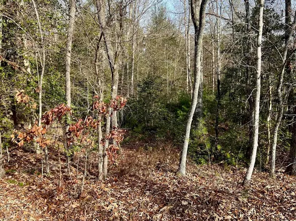 0 Hamilton Rd Tract 2, Marietta, SC 29661