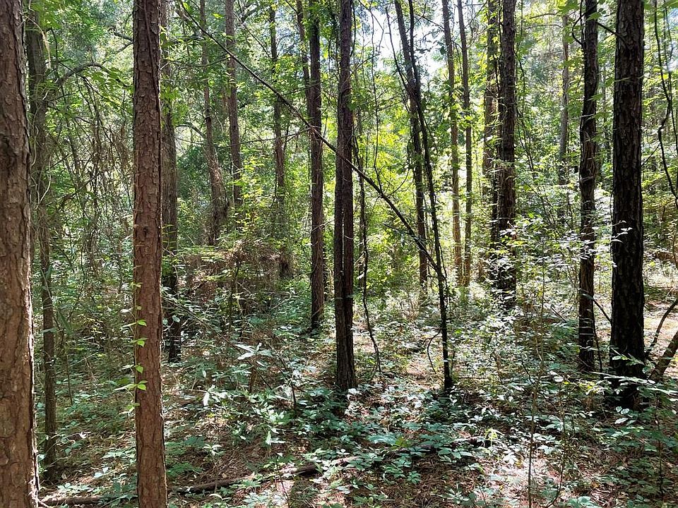 1st image of 14571 Coushatta Trl