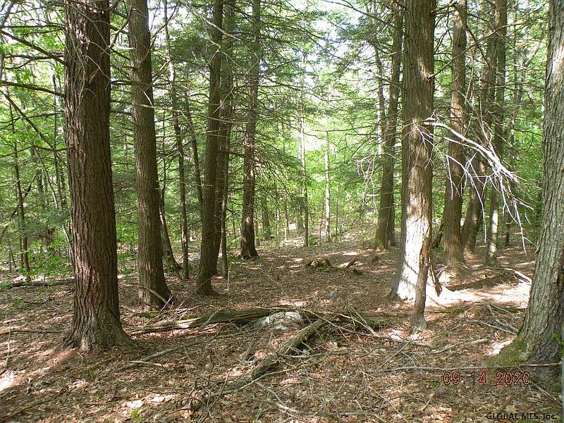 3rd image of WILDERNESS Way