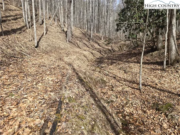 TBD (Lots 42 & 43) Happy Ridge Road, Piney Creek, NC 28663