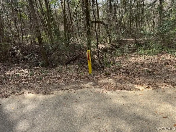0 Davis St E, Elba, AL 36323