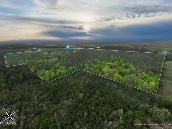 176 Burge And Reyer Rd, Poplarville, MS 39470