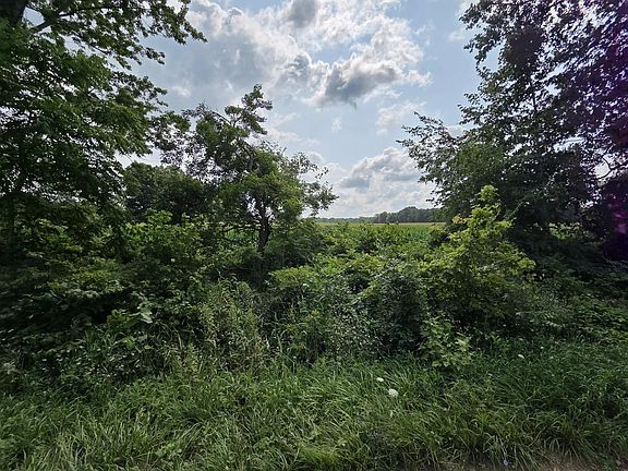 2nd image of 13 Mile Rd Parcel 3