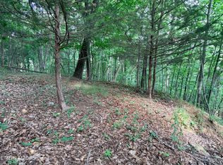 188 Chimney Rock Rd, New Tazewell, TN 37825