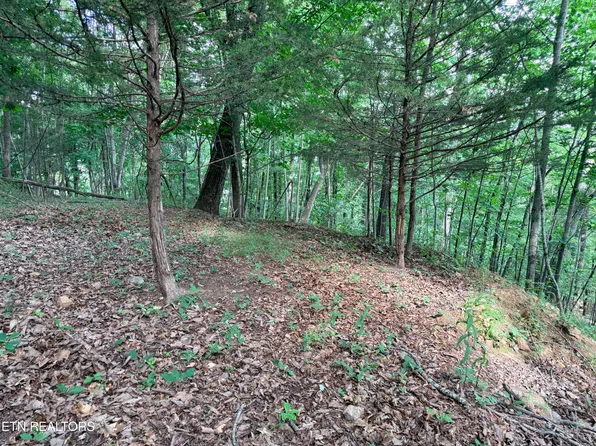 188 Chimney Rock Rd, New Tazewell, TN 37825
