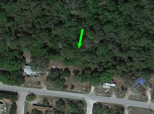 12309 Catalona Ave, New Port Richey, FL 34654