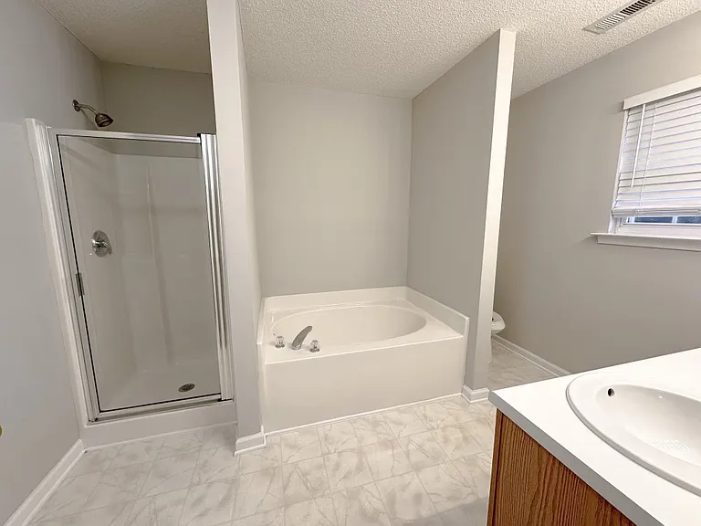 Master bedroom bathroom with standing shower and tub.