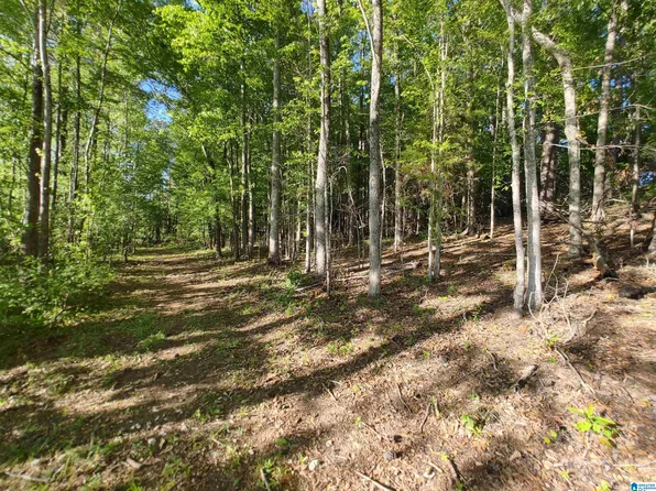 0 Cove Rd #28, Sylacauga, AL 35151