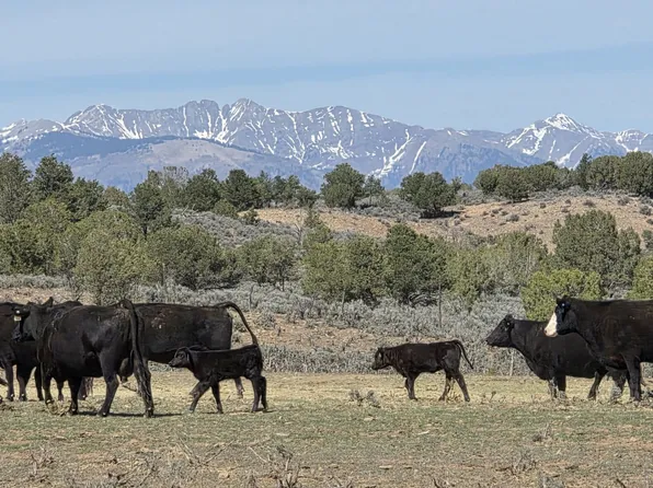 5846 State Highway 140, Hesperus, CO 81326